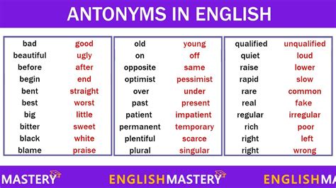 synonym philanthropy|PHILANTHROPY in Thesaurus: 100+ Synonyms & Antonyms for .